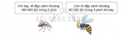 Giải bài tập 2 trang 78 sách giáo khoa (SGK) toán lớp 4 tập 1 Kết nối
