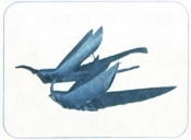 Hãy cho biết những đồ chơi dân gian trong các hình dưới đây có thể được làm từ những vật liệu gì bằng cách nổi tên vật liệu ở cột A với hình ở cột B.