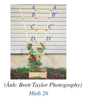 Giải bài tập 3 trang 61 sách giáo khoa (SGK) toán lớp 8 tập 2 CD