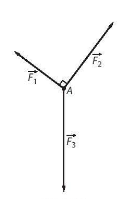 Giải bài tập 4.11 trang 51 sách bài tập (SBT) toán lớp 10 tập 1 kết nối