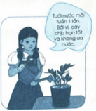 Đánh dấu ✓ vào ô trống đúng hoặc sai dưới mỗi hình để nhận xét về kĩ thuật chăm sóc cây cảnh sau đây.