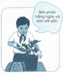 Đánh dấu ✓ vào ô trống đúng hoặc sai dưới mỗi hình để nhận xét về kĩ thuật chăm sóc cây cảnh sau đây.