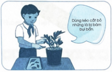 Đánh dấu ✓ vào ô trống đúng hoặc sai dưới mỗi hình để nhận xét về kĩ thuật chăm sóc cây cảnh sau đây.