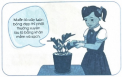 Đánh dấu ✓ vào ô trống đúng hoặc sai dưới mỗi hình để nhận xét về kĩ thuật chăm sóc cây cảnh sau đây.