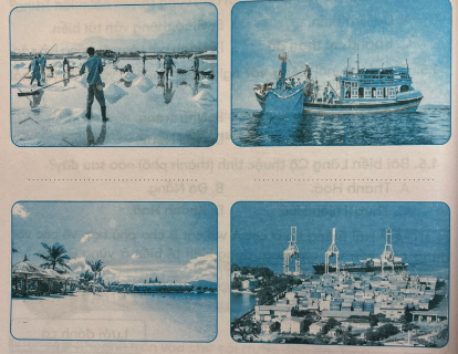 Hãy ghi tên hoạt động kinh tế vào chỗ trống (…) dưới hình