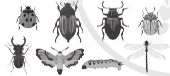 Giải bài tập 4 trang 24 vở bài tập (VBT) toán lớp 4 tập 1 Cánh diều