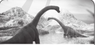 Giải bài tập 4 trang 24 vở bài tập (VBT) toán lớp 4 tập 1 Cánh diều