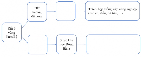 Hoàn thành sơ đồ dưới đây về đặc điểm đất của vùng Nam Bộ