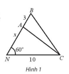 Giải bài tập 5 trang 19 sách bài tập (SBT) toán lớp 10 tập 2 chân trời