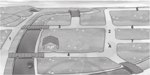 Giải bài tập 5 trang 60 vở bài tập (VBT) toán lớp 4 tập 1 Cánh diều