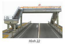 Bài tập 5 trang 81 toán lớp 11 tập 2 Chân trời