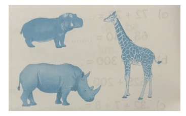 Con tê giác cân nặng bao nhiêu kg