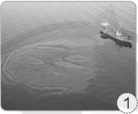 a) Nối hình nguồn nước ô nhiễm với nguyên nhân gây ô nhiễm nguồn nước đó. b) Viết tác hại của nguồn nước bị ô nhiễm vào ô trống bên cạnh