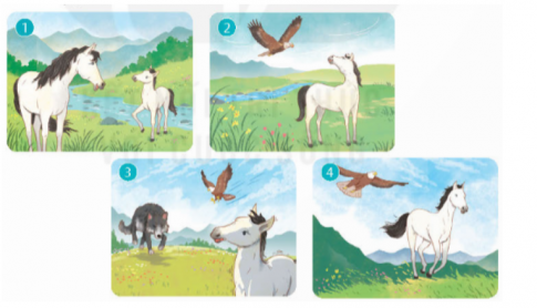 Dựa vào tranh minh họa và nghe kể câu chuyện Đôi cánh của ngựa trắng (SHS tiếng việt lớp 4, tập một, trang 131), ghi lại các sự việc chính.