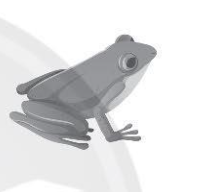 Hãy viết tên thức ăn của các động vật sau và hoàn thành sơ đồ mối liên hệ thức ăn dưới mỗi hình.