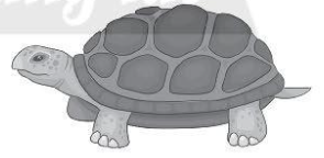 Hãy viết tên thức ăn của các động vật sau và hoàn thành sơ đồ mối liên hệ thức ăn dưới mỗi hình.