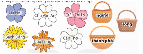 Nối các từ trong bông hoa với nhóm thích hợp.