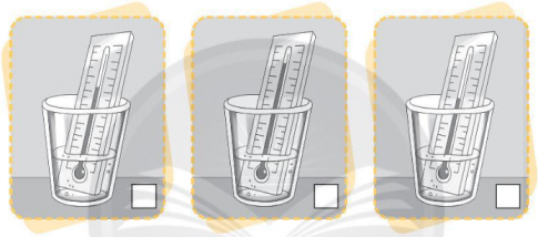 Quan sát các hình sau và cho biết nước trong cốc nào nóng nhất. Vì sao em biết? Đánh dấu (✓) vào ở hình em chọn và viết nội dung giải thích.
