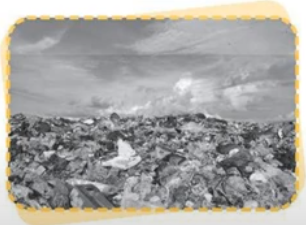 Viết nội dung mô tả nguyên nhân gây ô nhiễm không khí trong các hình dưới đây.