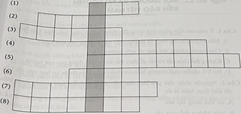 Giải các ô chữ sau theo gợi ý.