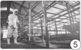 Viết việc cần làm để chăm sóc vật nuôi được thể hiện ở mỗi hình dưới đây. Giải thích vì sao cần làm những việc đó.