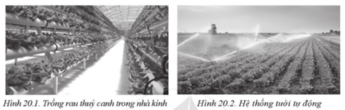 Khi trình độ khoa học kĩ thuật càng phát triển thì sự phụ thuộc vào tự nhiên của ngành nông nghiệp càng giảm.