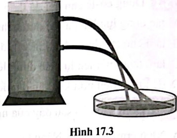 Người ta đổ nước vào một bình có đục các lỗ trên thành bình ở những độ cao khác nhau so với đáy bình và quan sát thấy hiện tượng như hình 17.3. Hãy giải thích hiện tượng xảy ra.