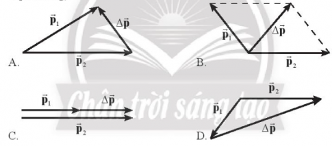 Trong các hình dưới đây, các hình vẽ nào biểu diễn đúng vectơ độ biến thiên động lượng