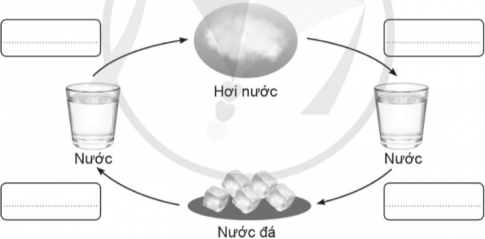 Chọn từ ngữ trong khung để điền vào ô trống trong sơ đồ sự chuyển thể của nước dưới đây cho phù hợp.