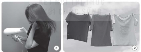  Người ta thường sấy tóc sau khi gội đầu (hình a) và phơi quần áo ướt dưới ánh nắng mặt trời (hình b).