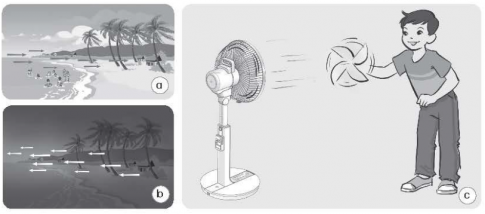 Quan sát hình để nối mỗi nội dung ở cột A với một nội dung ở cột B cho phù hợp.