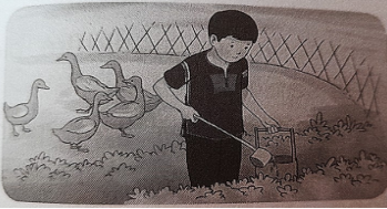 Hình ảnh giới thiệu một trong những hoạt động trong phong trào Kế hoạch nhỏ. 