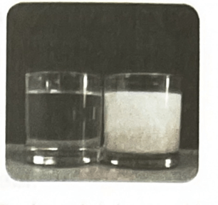 Quan sát hình bên và cho biết cốc nào chứa nước, cốc nào chứa sữa? Vì sao em biết?