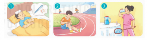 Chọn động từ dưới đây để đặt câu phù hợp với tranh.