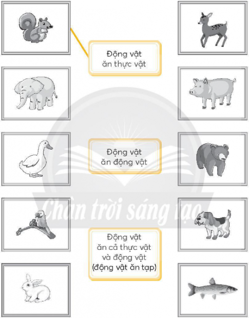 Nối hình mỗi con vật với ô chữ phù hợp (theo mẫu).