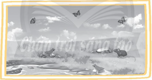 Quan sát hình dưới đây và viết vào chỗ (...) tên những loại cây trồng hoặc vật nuôi cần bổ sung để đảm bảo cân bằng chuỗi thức ăn trên cánh đồng.