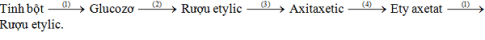  Ôn tập cuối năm - Phần 2 - sách giáo khoa (SGK) hóa học lớp 9 trang 167