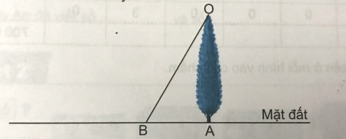 Viết số đo góc thích hợp vào chỗ chấm