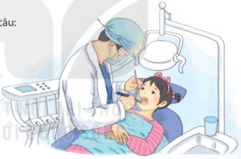 Dựa vào tranh để đặt câu.