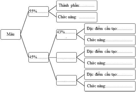 Hãy tóm tắt đặc điểm cấu tạo, chức năng của máu theo sơ đồ dưới đây.