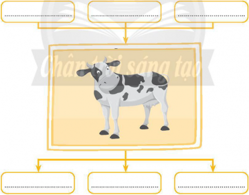 Chọn và điền các từ/cụm từ: nước uống, khí ô-xi, khí các-bô-níc, chất thải, cỏ, nước tiểu vào chỗ (...) để hoàn thiện sơ đồ về sự trao đổi khí, nước, thức ăn giữa con bò với môi trường sau đây.