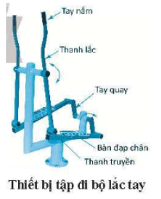  Em hãy quan sát hình bên và điền các cụm từ dưới đây vào chỗ (...) thích hợp để mô tả hoạt động của thiết bị tập đi bộ lắc tay.