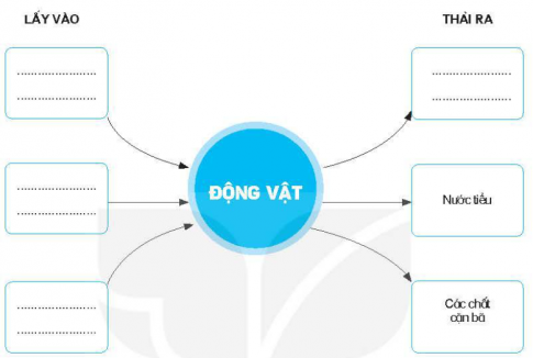 Hoàn thiện sơ đồ thể hiện sự trao đổi nước, không khí, thức ăn của động vật với môi trường.