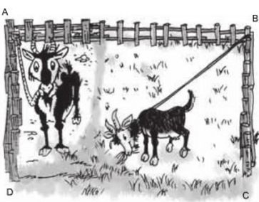 Diện tích hình tròn, hình quạt tròn