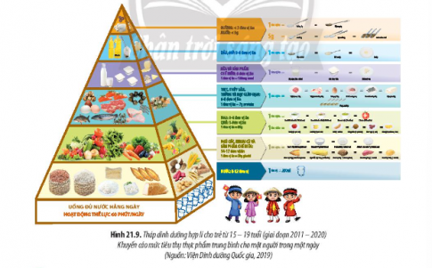 Quan sát Hình 21.9, kể tên và nêu vai trò của các phân tử sinh học có nhiều trong các loại thức ăn được khuyến cáo mức tiêu thụ thực phẩm trung bình cho một người trong một ngày