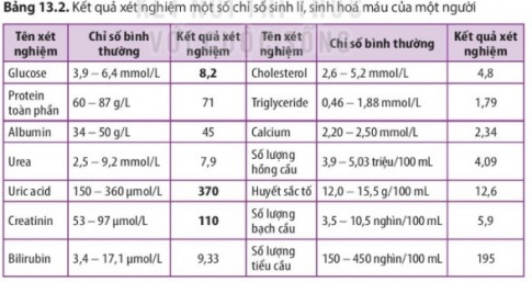 Những chỉ số sinh lí, sinh hoá máu nào ở Bảng 13.2 là bình thường, không bình thường? Người có kết quả xét nghiệm này nên làm gì?