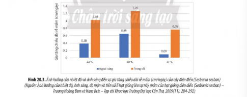 Quan sát Hình 20.2, 20.3 và 20.4, phân tích sự ảnh hưởng của các yểu tố môi trường đến sinh trưởng và phát triển ở thực vật