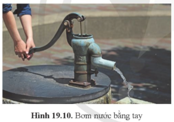 Chỉ ra bộ phận đóng vai trò đòn bẩy ở hình 19.10.