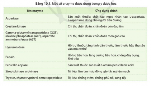 Đọc bảng 10.1 và cho biết enzyme được dùng trong các ứng dụng nào của ngành y dược.