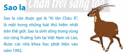 Hình 6 là thông tin cần tìm. Em hãy trao đổi với bạn và đề xuất từ khóa phù hợp để tìm thông tin ở Hình 6 bằng máy tính tìm kiếm.